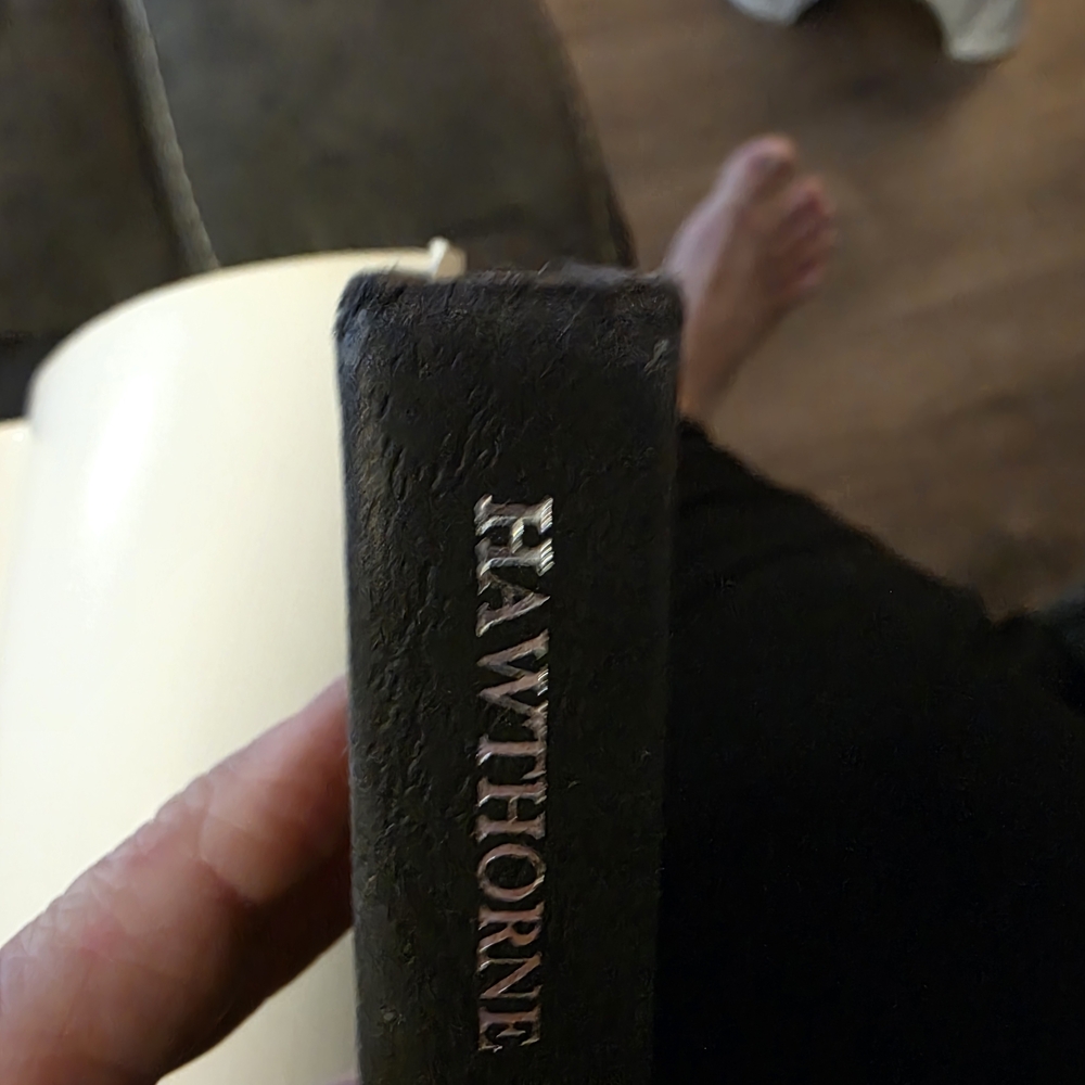 The Scarlet Letter by Nathaniel Hawthorne - Picture 6 of 6